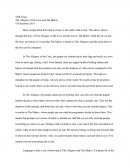 Tok Essay - the Allegory of the Cave and the Matrix