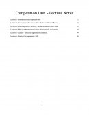 Competition Law - Lecture Notes
