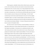 Essay on Steve Wynn