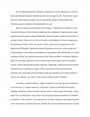 Essay on Rainforest