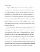 Rigoberta Manchu Essay