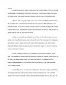 Tsunami Essay