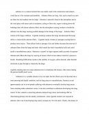 Essay on Asbestosis