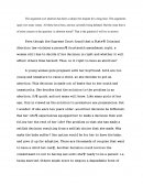 Essay on Abortion