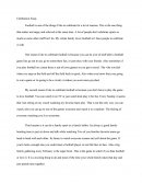 Football Celebration Essay