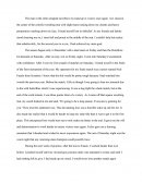 Narrative Essay