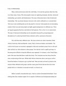 Essay on Relationships