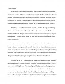 safety essay