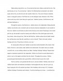 Chinese Cinderella Essay