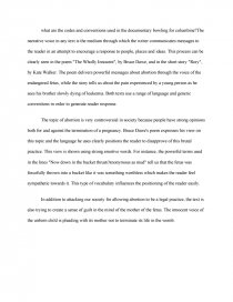 bowling for columbine essay