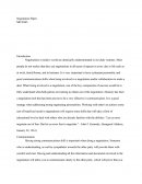 Mgt 445 - Negotiation Paper