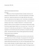 Apple Incorporation Organizational Structure