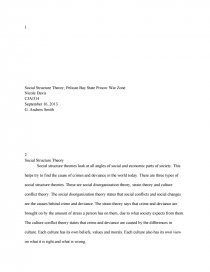 Thesis Persuasive Essay Zoom Synthesis Essay Introduction Example also Thesis Generator For Essay Social Structure Theory Pelican Bay State Prison War Zone Position Paper Essay