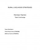 Rural Livelihood Strategies
