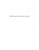 Microeconomic Analysis Final Report