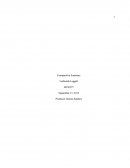 Summary Paper: Financial Environment Structure