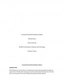 Busn 115 - Lemonade Stand Informal Business Report