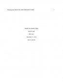 Hcs 449 Healthcare Industry Paper