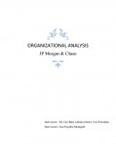 Organizational Analysis Paper