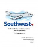 Southwest Airlines Marketing Practices