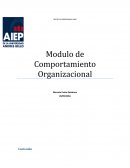 Modulo De Comportamiento Organizacional