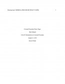 Criminal Procedure Paper