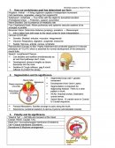 Body Plan Lecture Notes