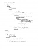 Physiology Lecture Notes - Nervous System Recap