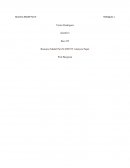 Bus 475 - Business Model - Swott Analysis Paper