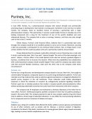Purinex Inc - Case Study in Finance and Investment