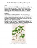 The Medicinal Value of the Ginkgo Biloba Plant