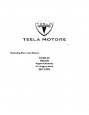Marketing Plan: Tesla Motors