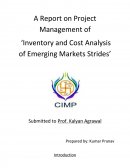 Inventory and Cost Analysis of Emerging Markets Strides