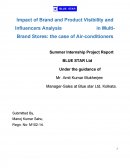 Impact of Brand and Product Visibility and Influencers Analysis in Multi-Brand Stores: The Case of Air-Conditioners