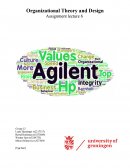 Agilent Assignment Rug