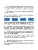 Methods to Determine Phase Diagrams