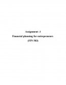 Financial Planning for Entrepreneurs