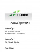 Hubco Horizontal Analysis