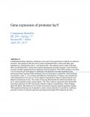 Gene Expression of Promoter Lacy