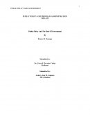 Case Summary for Public Policy and the Role of Government
