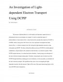 An Investigation of Light-Dependent Electron Transport Using Dcpip
