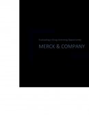 Merck Corporation Harvard Business Case