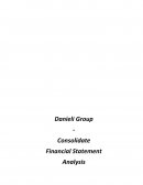 Danieli - Consolidated Financial Statements Analysis