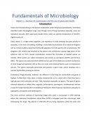 Examination and the Use of Yeast and Moulds