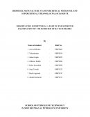 Biodiesel Synthesis Using Supercritical Methane and Ethane