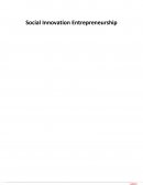 Social Innovation Entrepreneurship - Three Themes to Understand and Practice Social Innovation