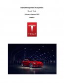 Tesla Brand Management
