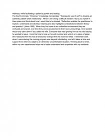 nursing as discipline profession and science essay nursing as a profession essay