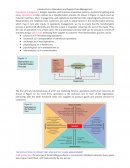 Introduction to Operations and Supply Chain Management